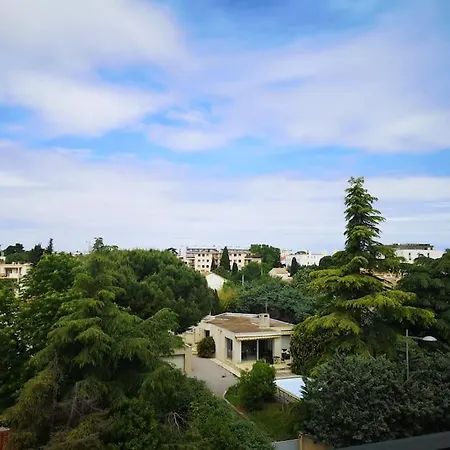 Studio - Centre - Free Parking Apartment *